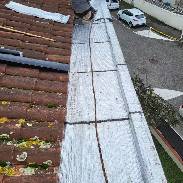 Réfection d'étanchéité d'un toit à Toulouse